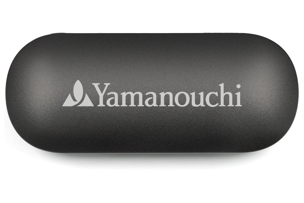BrandCharger Aria – True Wireless Bluetooth Earbuds - 图片 6